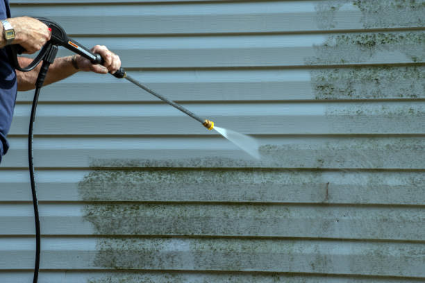 Best Gutter Cleaning  in Logan Elm Village, OH